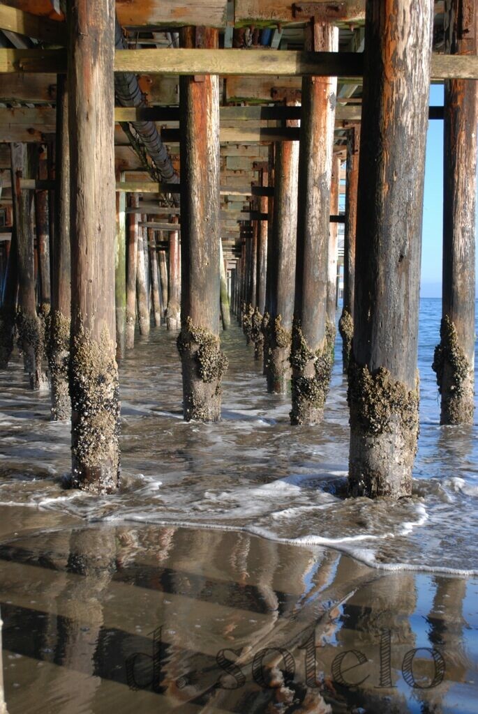 Under the pier in Santa Cruz